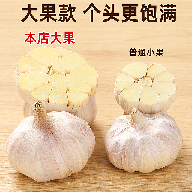 [主图-3] 紫白皮干蒜大小对比展示图
[氛围风格] 真实直观对比，凸显大果优势
[画质] 商业摄影质感、光线柔和通透、产品清晰真实、画面干净高级
[元素] 左侧展示大果紫白皮干蒜，右侧展示普通小干蒜，并排摆放对比，都保留半切面展示内部蒜瓣。保持所有干蒜外观、结构、材质颜色与原图一致，大果明显更大更饱满。背景为干净浅木色桌面。商品主体占比约70%，画面满屏无边框
[光影] 均匀柔光，清晰凸显大小差异和纹理，对比分明
[配色] 自然木色背景+干蒜自然本色，干净清晰
[视角构图] 平视居中对称构图，让对比一目了然
[文字版式] 顶部大字标注 "大果款 个头更饱满"，左侧大果上方标注大字 "本店大果"，右侧小字标注 "普通小果"，简单直白突出优势，文字不遮挡产品主体，符合拼多多风格
[比例分辨率] 1:1 比例，2048x2048px，2k分辨率，文字清晰可辨，超高清
[负向提示词] 变形，水印，文字错乱，产品图模糊，背景杂乱，绝对化违禁词