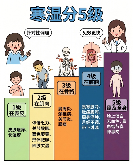 参考原图样式，设计一个更形象直观的1到五级寒湿级别分级图，标题是"寒湿分5级"，内容包含：1级在表皮，皮肤瘙痒、长湿疹；2级在肌肉，体倦乏力、关节酸胀、面色萎黄、形体肥胖、四肢欠温；3级在骨骼，肩周炎预览效果