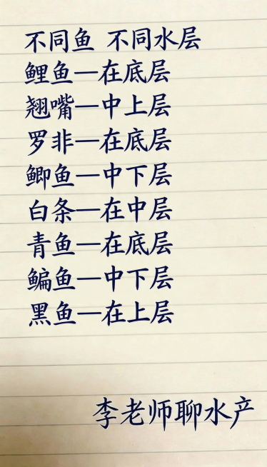 浅黄色横条纹笔记本背景，深蓝色手写书法字体，排版布局和原图保持一致，替换文字内容为：
不同鱼 不同水层
鲤鱼—在底层
翘嘴—中上层
罗非—在底层
鲫鱼—中下层
白条—在中层
青鱼—在底层
鳊鱼—中下层预览效果