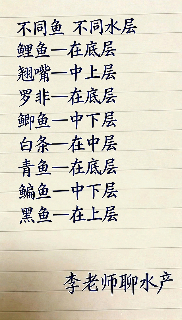浅黄色横条纹笔记本背景，深蓝色手写书法字体，排版布局和原图保持一致，替换文字内容为：
不同鱼 不同水层
鲤鱼—在底层
翘嘴—中上层
罗非—在底层
鲫鱼—中下层
白条—在中层
青鱼—在底层
鳊鱼—中下层
黑鱼—在上层
右下角放置文字：李老师聊水产，一字不差，字体和颜色和原图保持一致