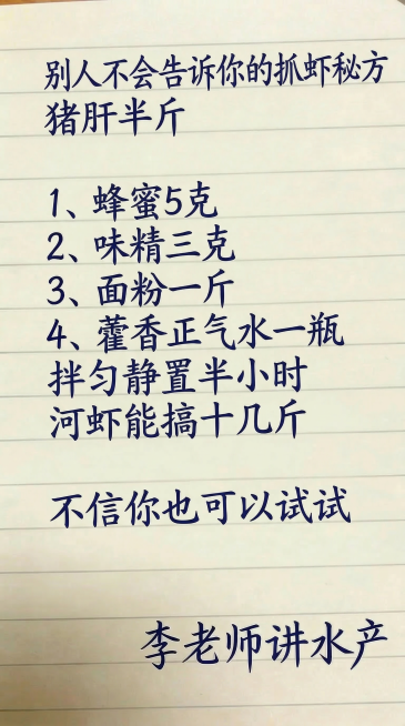 保持手写横线笔记本背景，替换文字为：'别人不会告诉你的抓虾秘方 猪肝半斤 蜂蜜5克 味精三克 面粉一斤 藿香正气水一瓶拌匀静置半小时 河虾能搞十几斤 不信你也可以试试 李老师讲水产'，保持深蓝色手写字预览效果