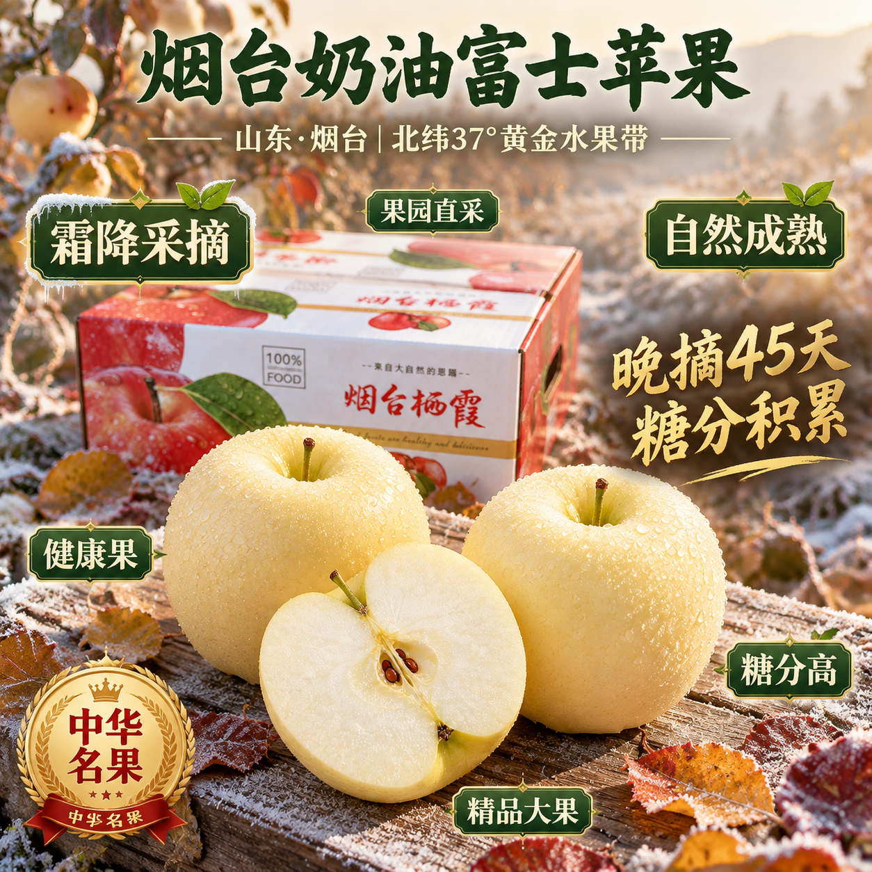 京东电商主图，800×800像素，1:1比例。背景为山东烟台栖… - 图片创意预览