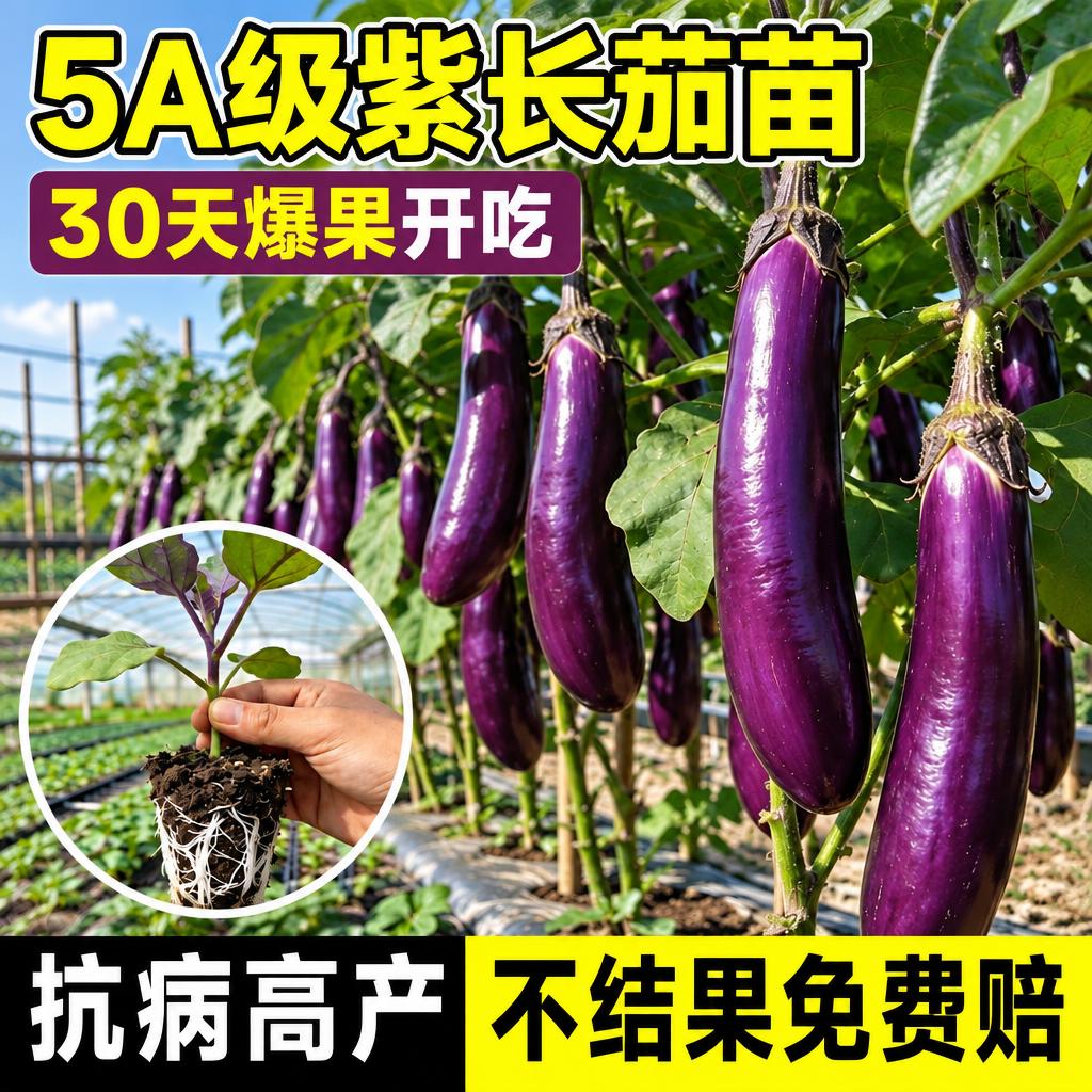 将图片等比例调整为1:1尺寸，保持原图所有内容和元素完整不变，… - 图片创意预览