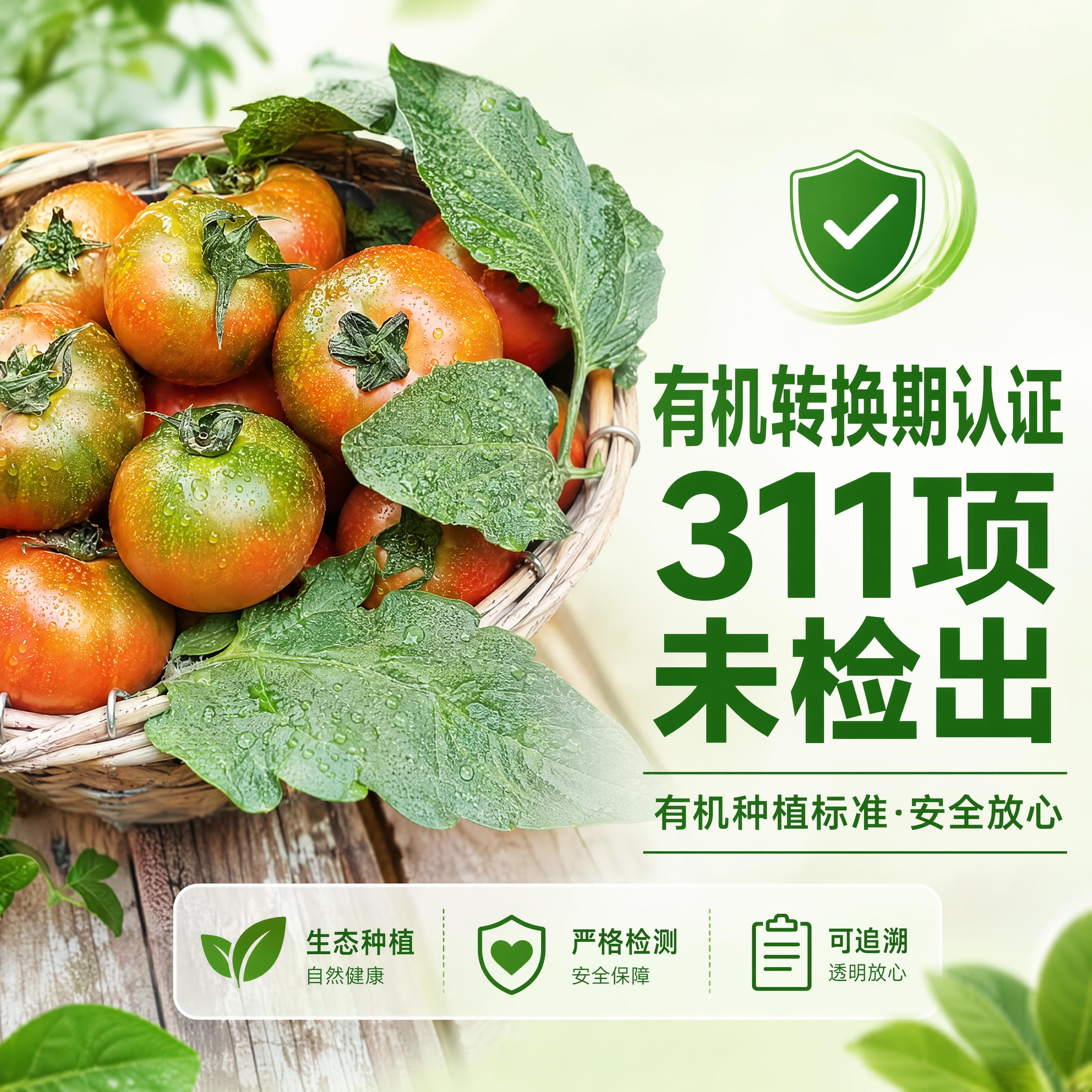 电商主图1:1正方形海报，认证信任背书主图。本图使用【图6】篮… - 图片创意预览