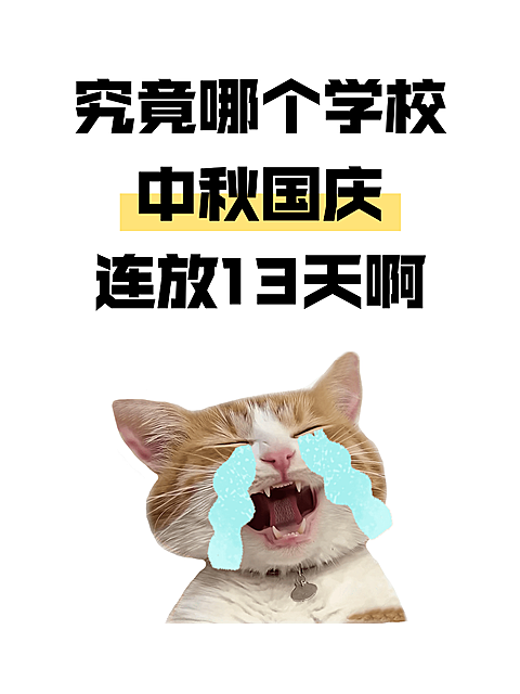 画面主文案探讨学校假期天数，配有流泪猫咪表情包，以趣味视觉表达放假情绪，适合社交媒体分享与节日话题讨论。