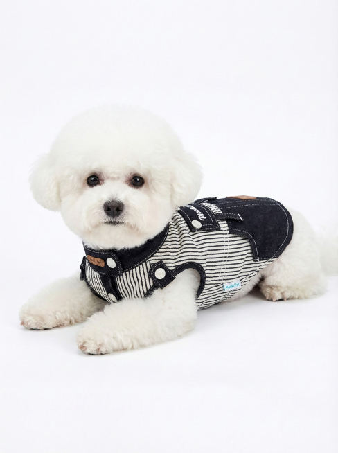 把这件衣服穿在比熊身上 用于淘宝上架图片 需要五张不同姿势的图片预览效果