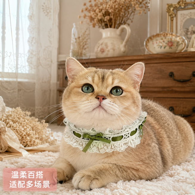 「图片1」，生成一套主图（5张），商品名称是「庄园少女」洛丽塔风蕾丝宠物项圈，卖点是采用双层荷叶边蕾丝 + 缎带蝴蝶结设计，差异化 & 情绪价值：小众风格 + 送礼属性，风格是洛丽塔法式甜妹风，适配淘预览效果
