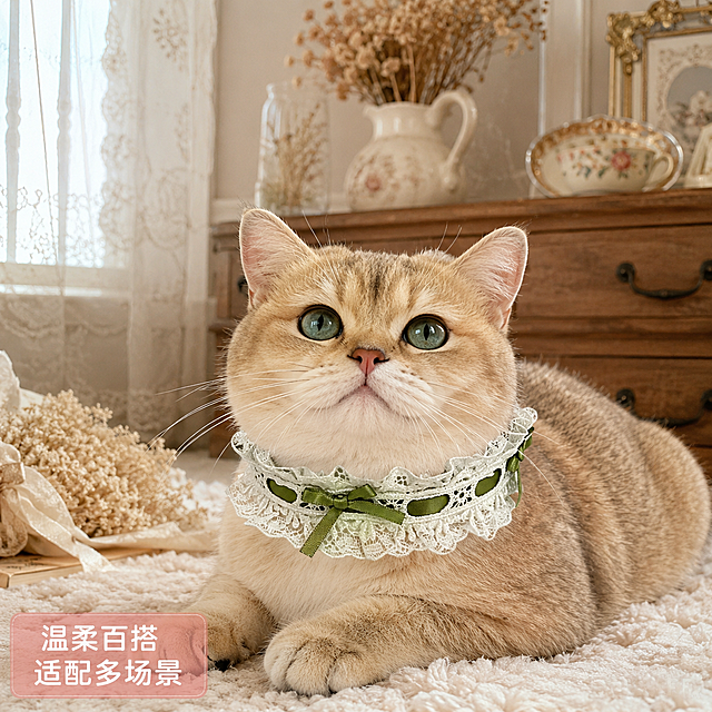 「图片1」，生成一套主图（5张），商品名称是「庄园少女」洛丽塔风蕾丝宠物项圈，卖点是采用双层荷叶边蕾丝 + 缎带蝴蝶结设计，差异化 & 情绪价值：小众风格 + 送礼属性，风格是洛丽塔法式甜妹风，适配淘宝/天猫平台，主图比例为1:1