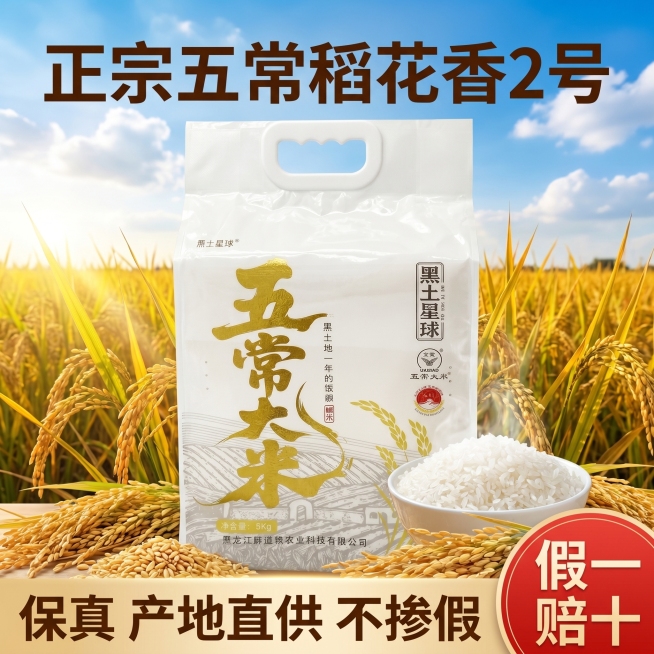 [主图 1] 五常大米稻花香2号产品首图，更浓郁田园稻田风，拼多多极致直白风格。[氛围风格]强烈秋收氛围感，大字更突出，点击率更高。[画质]商业摄影质感，超高清，光线明亮通透，产品清晰真实。[元素]商预览效果