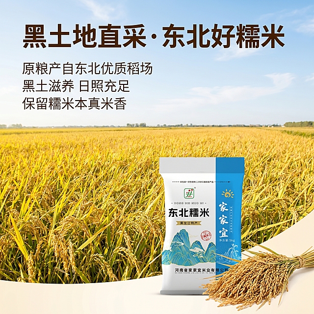 [主图 2] 产地溯源主图，展示东北糯米核心产区优势。[氛围风格] 自然原生态氛围，真实阳光稻田场景。[画质] 商业摄影质感，光线柔和通透，产品清晰真实，画面干净高级。[元素] 远景为一望无际的黑龙江金色稻田，蓝天白云下成熟饱满的稻穗随风摆动，前景放置东北糯米包装袋和一把收割带穗的水稻。保持糯米包装袋外观（即物理结构、材质质感、颜色）与输入产品图绝对一致，杜绝任何变形和色差，精细化处理。产品包装袋放在前景偏右下位置，不遮挡核心稻田景观。商品主体占比严格控制在 65%左右，画面满铺无边框。[光影] 正午自然暖光，空气通透，稻田呈现自然金黄光泽，光线均匀柔和，通透不灰蒙。[配色] 主色调为稻田金黄、天空浅蓝，搭配包装袋蓝绿色，自然清新。[视角构图] 略微俯视广角拍摄，远景稻田近景产品，景深自然，层次分明。[文字版式] 左上负空间左对齐留安全边距，主标题"黑土地直采·东北好糯米"大号加粗深棕色字体；下方分三行小字文案"原粮产自东北优质稻场""黑土滋养 日照充足""保留糯米本真米香"，字号小一半，同色清晰，字距宽松。所有文字与背景强对比，清晰易读。[比例分辨率] 1:1 比例，2k 分辨率，文字清晰可辨，超高清。[负向提示词] 变形，水印，文字错乱，产品图模糊，背景杂乱，牛皮癣，配色刺眼，遮挡主体