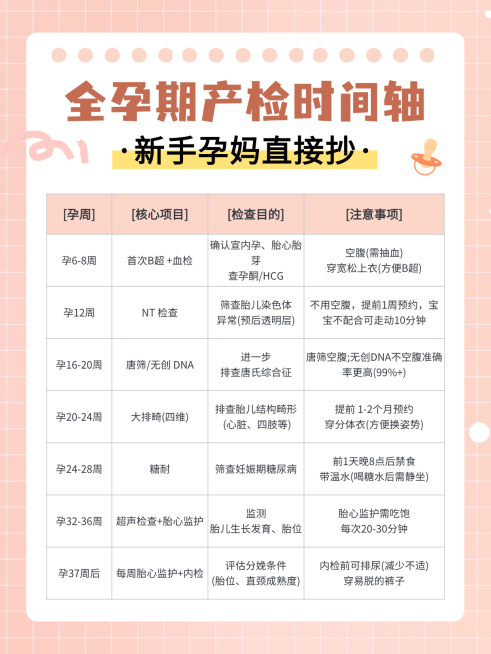 红色扁平孕期产检时间轴知识分享小红书内页预览效果