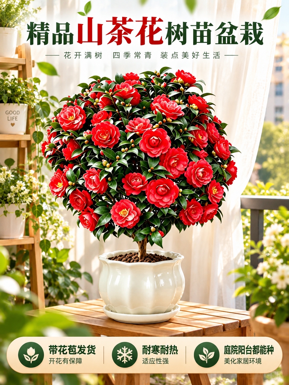 电商淘宝天猫主图，图中的红色山茶花盆栽保持原样，背景替换为清新… - 图片创意预览