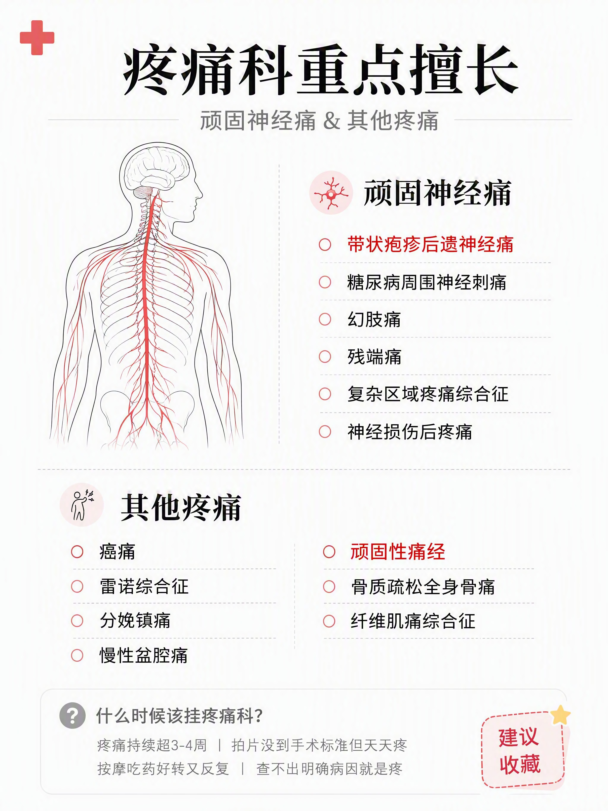 小红书科普配图，白底分栏清单风格，ins清新医学风，版式精美，… - 图片创意预览