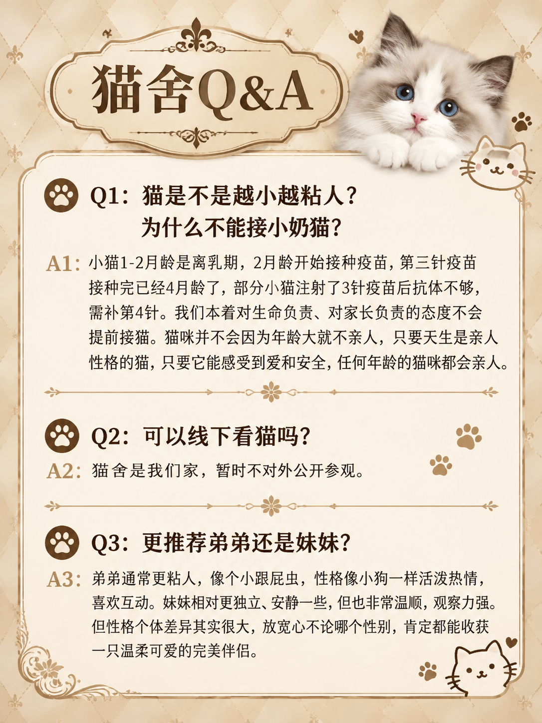 欧式复古轻奢风格猫舍Q&A图，竖版3:4比例。米金色菱格纹理背… - 图片创意预览