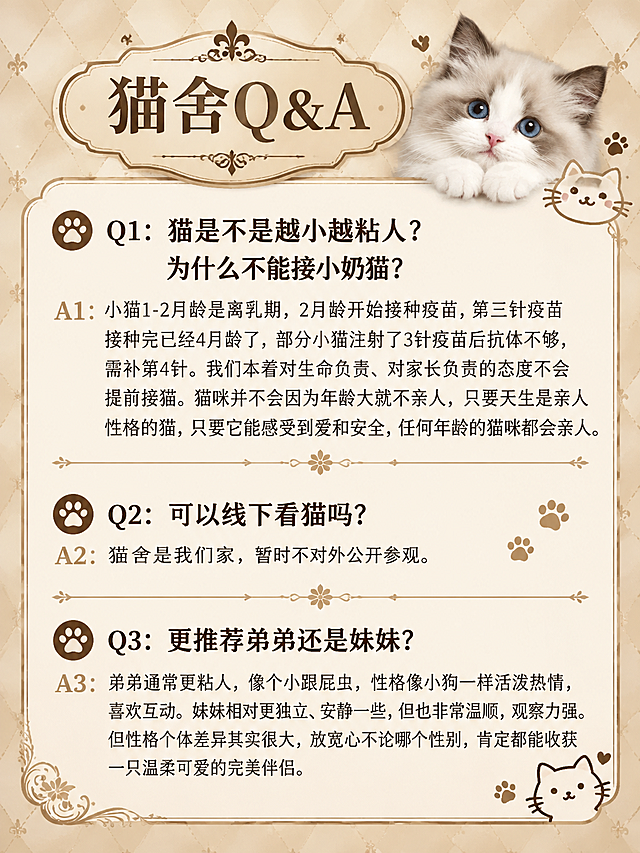 欧式复古轻奢风格猫舍Q&A图，竖版3:4比例。米金色菱格纹理背景，中央白色圆角矩形卡片，顶部米黄色复古标签框写"猫舍Q&A"。卡片内有三个问答，Q用深棕色加粗字体，A用常规字体：Q1：猫是不是越小越粘人？为什么不能接小奶猫？A1：小猫1-2月龄是离乳期，2月龄开始接种疫苗，第三针疫苗接种完已经4月龄了，部分小猫注射了3针疫苗后抗体不够，需补第4针。我们本着对生命负责、对家长负责的态度不会提前接猫。猫咪并不会因为年龄大就不亲人，只要天生是亲人性格的猫，只要它能感受到爱和安全，任何年龄的猫咪都会亲人。Q2：可以线下看猫吗？A2：猫舍是我们家，暂时不对外公开参观。Q3：更推荐弟弟还是妹妹？A3：弟弟通常更粘人，像个小跟屁虫，性格像小狗一样活泼热情，喜欢互动。妹妹相对更独立、安静一些，但也非常温顺，观察力强。但性格个体差异其实很大，放宽心不论哪个性别，肯定都能收获一只温柔可爱的完美伴侣。问答之间有细花纹分隔线，右侧有新脸版甜美布偶猫小猫咪爪印和猫头线描装饰，深棕+米金配色，版式精美，4K高清。