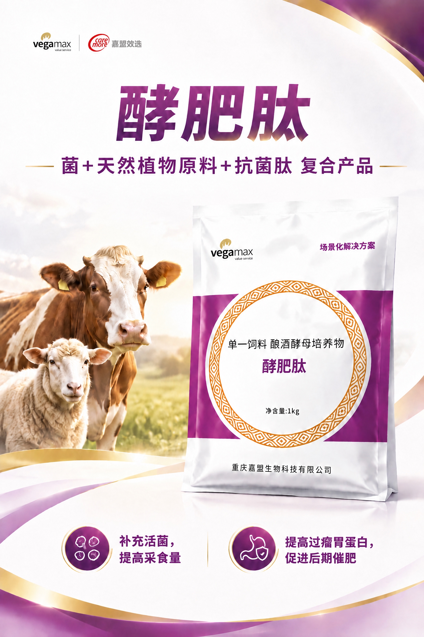 将海报副标题中的“中药”修改为“天然植物原料”，即文字改为“菌… - 图片创意预览