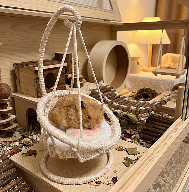 生活场景图：一只可爱的仓鼠舒适地躺在编织吊床里，吊床放置在配有木质玩具的温馨宠物笼中，暖调环境光，展示产品实际使用场景。
