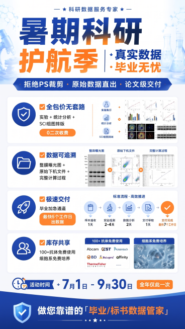 预览效果