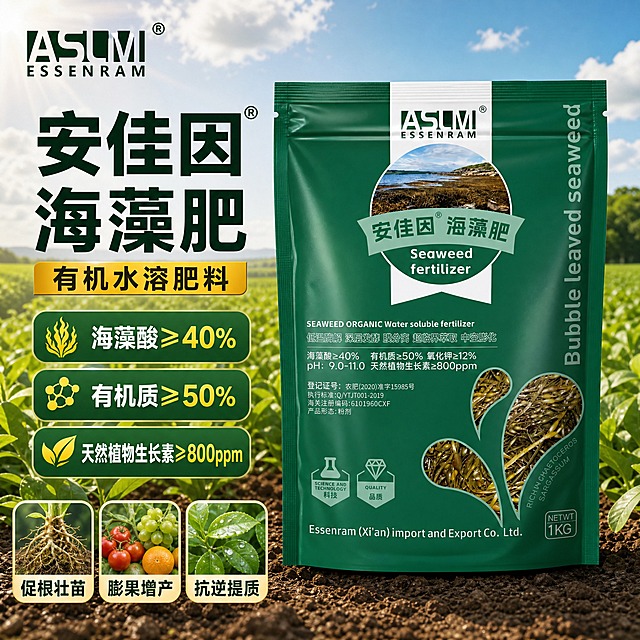 [主图-1] 安佳因海藻肥 有机水溶肥料 首图点击率 海藻肥核心卖点展示。
[统一基调] 抖音电商农业风 深绿主色配金黄强调色 大字标题 强视觉冲击 真实农业场景质感 粗黑标题字体 白色辅助字 圆角信息卡。
[画面] 产品包装袋居中偏右 占画面60% 正面展示 保持原包装深绿色和ASLM品牌Logo 安佳因海藻肥字样清晰 背景为绿色农田全景 远处有茂盛的作物和蓝天白云 阳光洒在田野上 左侧上方放品牌Logo 左侧中部大标题 底部三个圆角卖点图标 产品底部有自然投影 不悬浮。
[光影质感] 自然光 主光从左上方来 产品表面有柔和高光 包装材质真实 底部有接触阴影 整体明亮通透。
[配色] 深绿色背景主调 金黄色标题字 白色说明文字 绿色渐变信息卡 农田绿色作为环境色。
[文字版式] 左上角ASLM ESSENRAM品牌Logo 左侧大标题 海藻酸≥40% 有机质≥50% 副标题 天然植物生长素≥800ppm 底部三个圆角图标分别写 促根壮苗 膨果增产 抗逆提质 字体粗黑醒目 文字不遮挡产品主体。
[输出要求] 1:1比例 文字清晰可读 产品清晰完整 无变形 无错字 无水印 无平台Logo 无二维码 无联系方式。