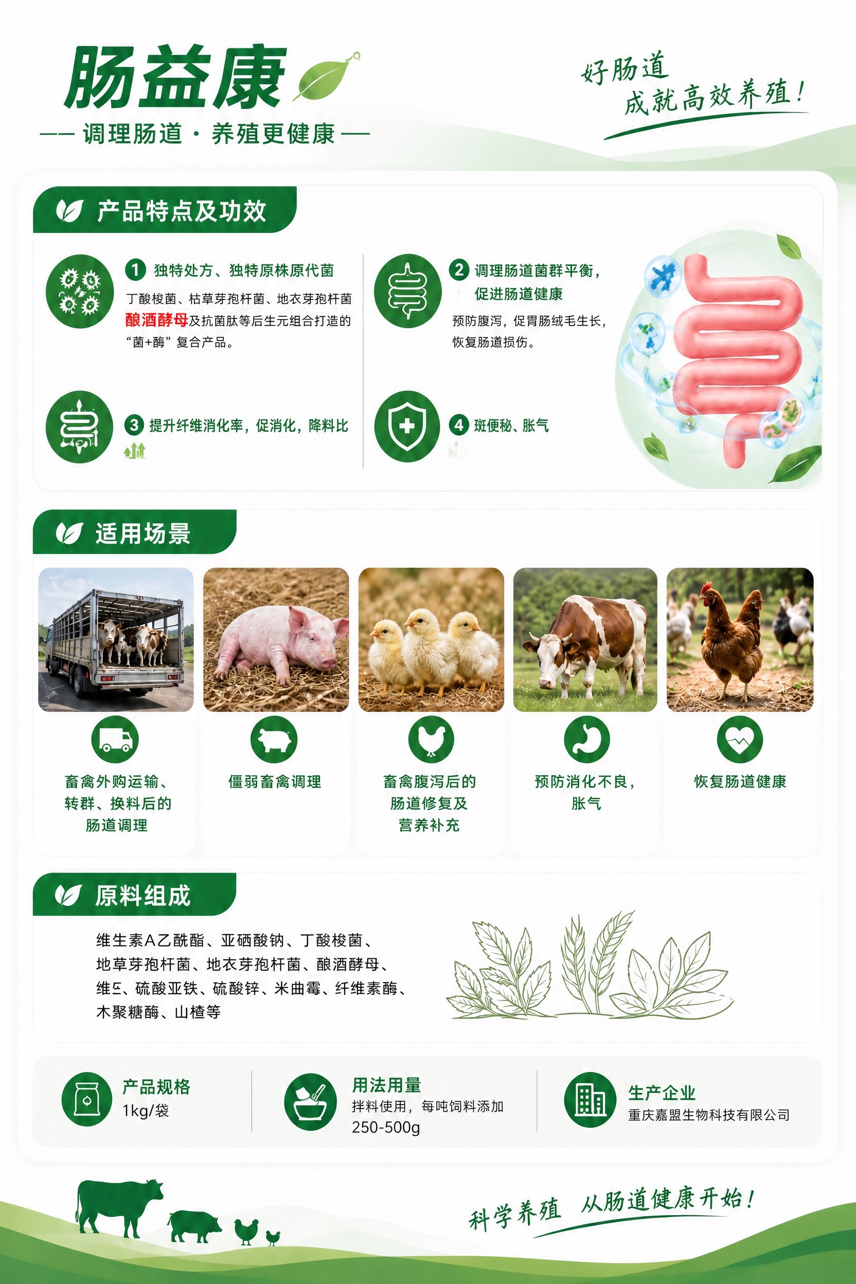 修改这张肠益康详情海报的两处文字内容： 1. 产品特点及功效第… - 图片创意预览