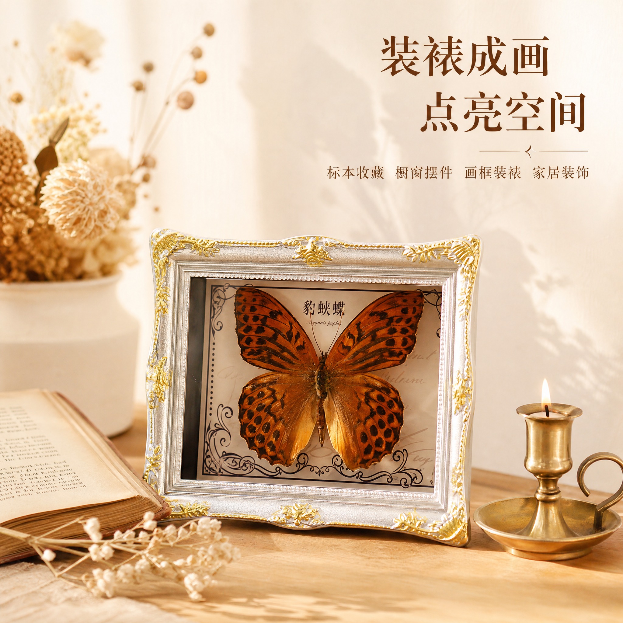[主图-4] 蝴蝶标本装裱展示与使用场景图，展示装裱后的装饰效… - 图片创意预览