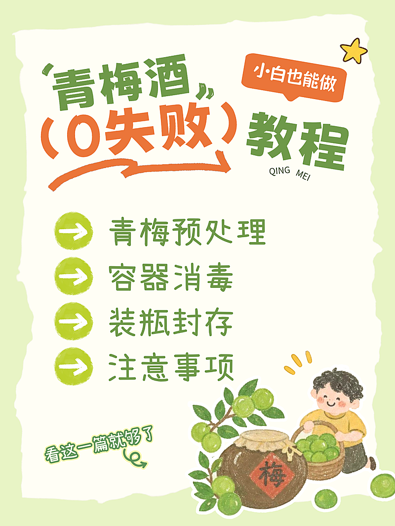 青梅酒制作教程可爱插画小红书封面
