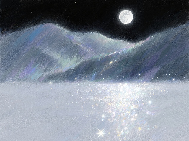 漆黑的夜空，一轮银月高悬天际，淡淡的月光如薄纱般洒向大地，营造出神秘而宁静的氛围，远处的山峦在月光下若隐若现，地面上覆盖着一层柔和的银辉，整个场景静谧而富有诗意