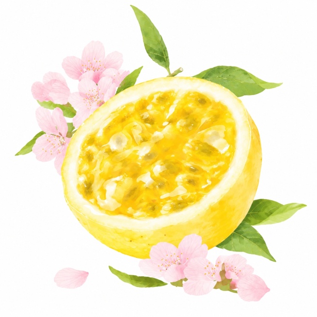 参考第一张图的水彩手绘插画风格，将第二张图的黄金百香果做成同样的水彩插画风格预览效果
