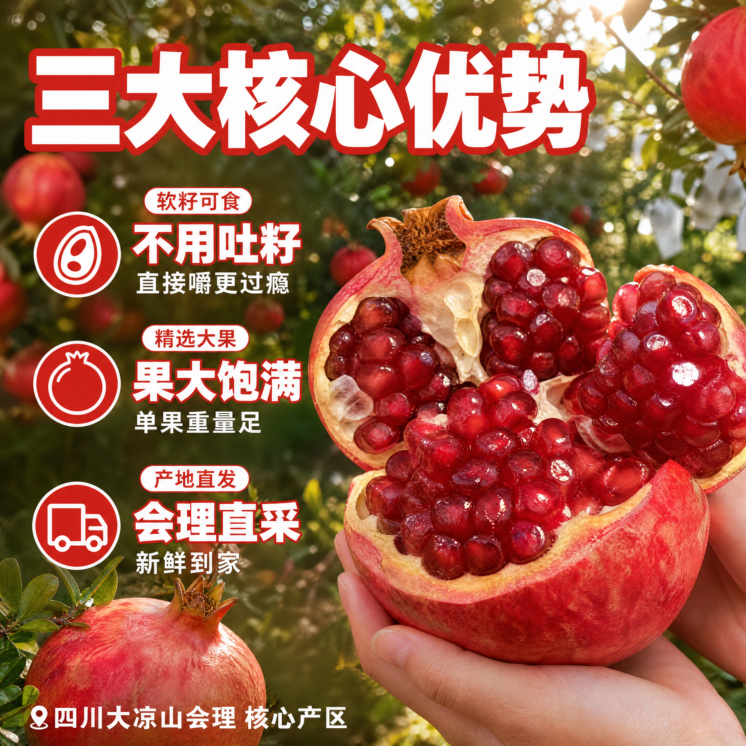 [主图2] 会理突尼斯软籽石榴核心卖点图 抖音爆款风 1:1。… - 图片创意预览