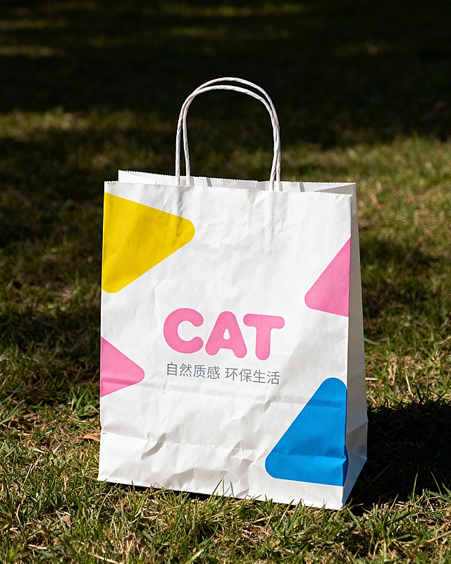 参照这个LOGO，做一套文创品牌视觉设计。品牌名称为“CAT”。包括徽章，牛皮纸袋，杯垫，钥匙扣等。亲切现代风格