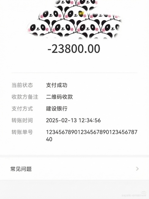 去掉图片上的红色涂鸦和文字，保留原有的支付信息排版、熊猫头像和白色背景，恢复被涂抹遮挡区域，保持图片原本内容和风格不变，只去除涂鸦和文字预览效果