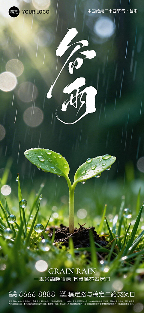谷雨节气祝福传统宣传清新自然风嫩芽实景竖版海报