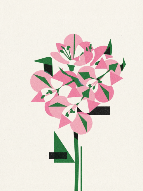 将这束粉色花卉改为现代极简几何扁平风，融合包豪斯主义的理性线条与risograph印刷质感，图形高度概括无多余细节，强调色彩与形状的构成关系，带有复古印刷的颗粒肌理，保留花束的整体构图结构预览效果