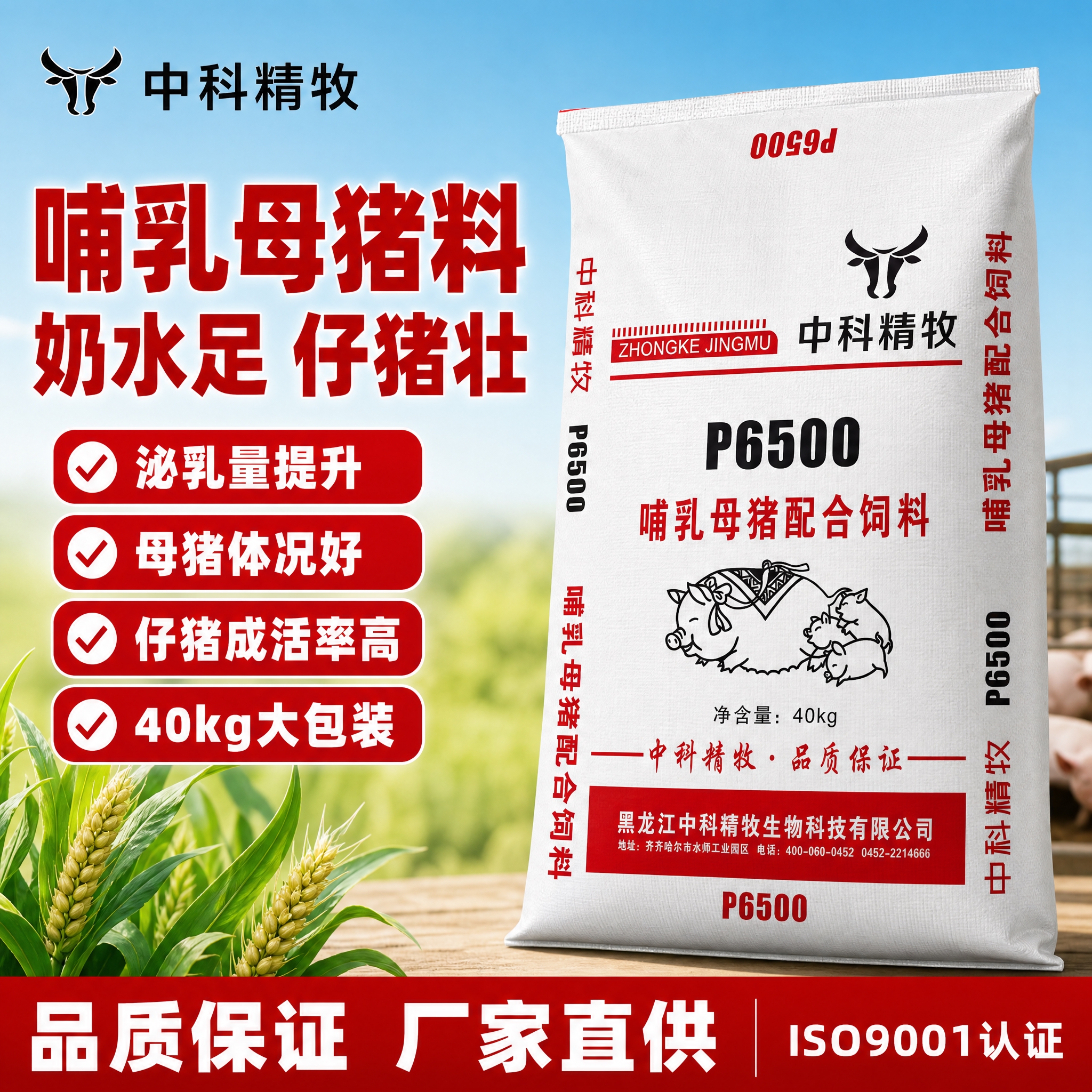 [单张主图] 中科精牧P6500哺乳母猪配合饲料 爆款促销感主… - 图片创意预览