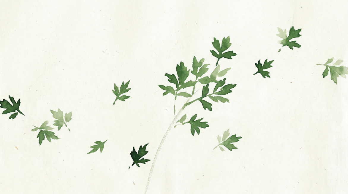 参考原图的国风写意水墨风格，米白色宣纸底，绿色写意笔触，将柳叶改为抽象艾草元素，保留空灵简约的中式禅意，抽象写意笔触，艾草叶片自然散落，横版长图构图预览效果