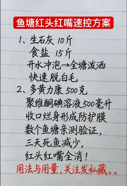 参考原图风格，背景为带横向横线的白色笔记本纸张，顶部有一个红色矩形框，红色框内用白色字体写着“鱼塘红头红嘴速控方案”，正文部分用黑色手写字体书写：1、生石灰 10 斤
食盐 15 斤
开水冲泡→全塘泼预览效果