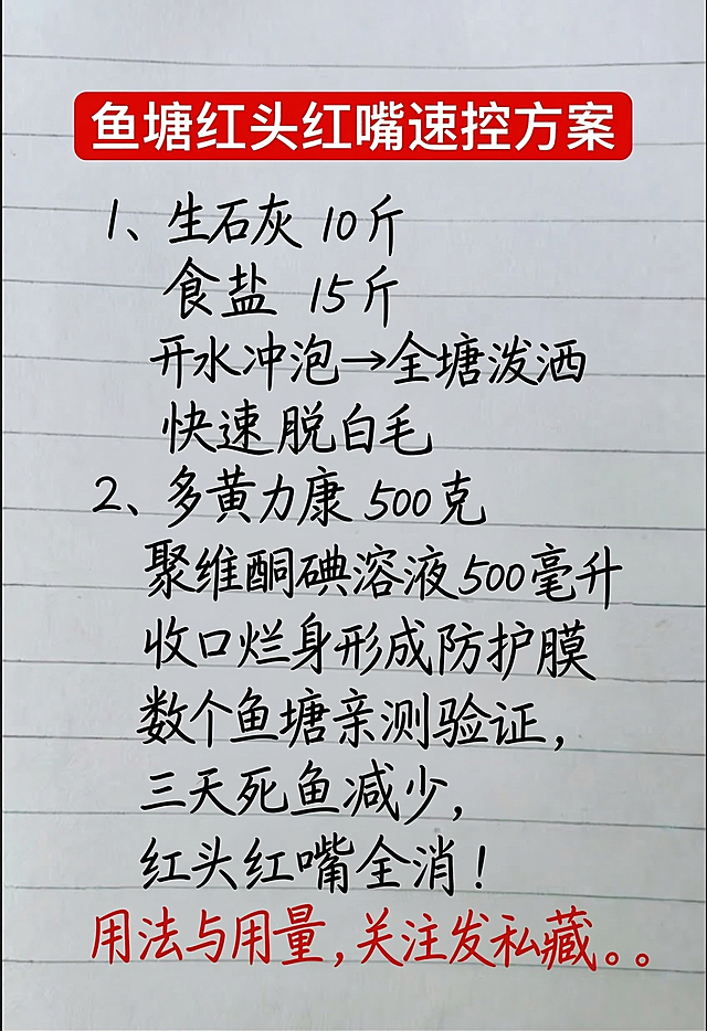 参考原图风格，背景为带横向横线的白色笔记本纸张，顶部有一个红色矩形框，红色框内用白色字体写着“鱼塘红头红嘴速控方案”，正文部分用黑色手写字体书写：1、生石灰 10 斤
食盐 15 斤
开水冲泡→全塘泼洒
快速脱白毛
2、多黄力康 500 克
聚维酮碘溶液500 毫升
收口烂身形成防护膜
数个鱼塘亲测验证，
三天死鱼减少，
红头红嘴全消！
底部用红色手写字体书写：用法与用量，关注发私藏。。保持排版布局合理，文字一字不差，和原图字体和颜色保持一致。