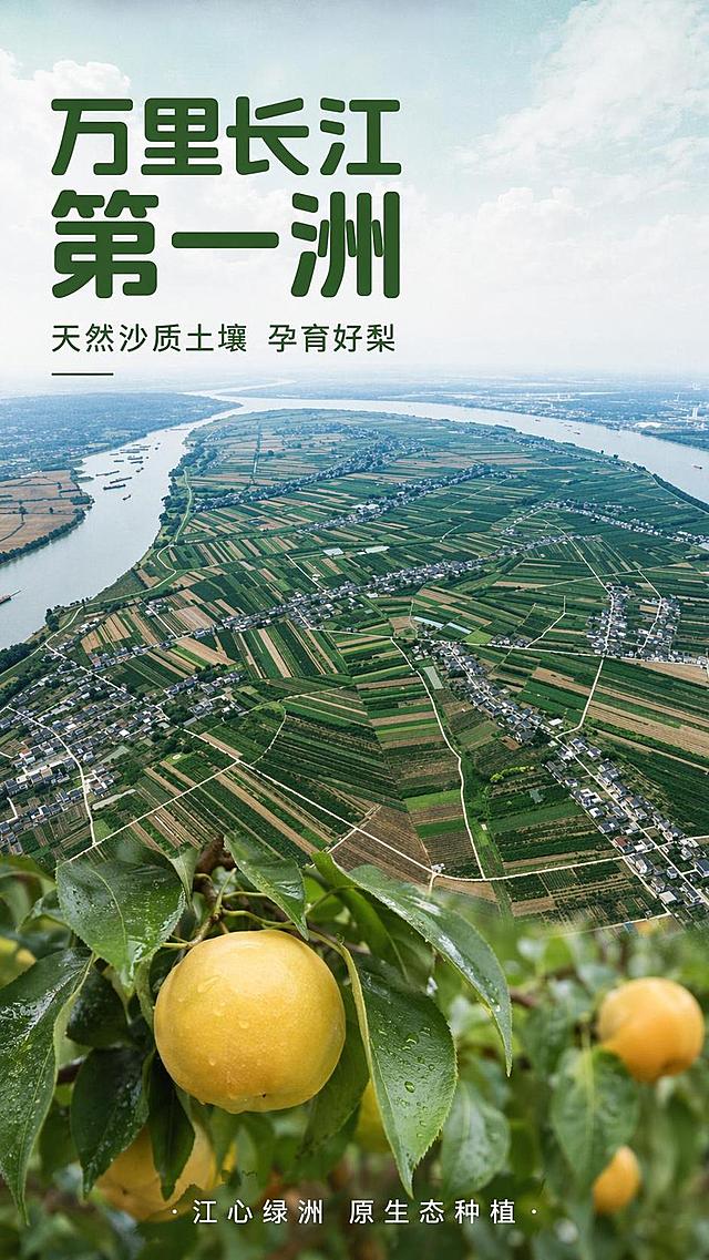 [第2屏] 产地优势展示屏-百里洲长江岛屿天然种植环境。本屏使用【图3】【图4】作为产地实景参考图。
[氛围/风格] 纪实航拍风光，真实原生态田园景观，自然大气，写实无修饰。
[元素布局] 百里洲江心岛全景航拍图占据画面80%以上区域，下方叠加小面积梨园挂果特写；标题区域置于左上，大字体突出百里洲产地特征，整体元素饱满，符合生鲜特产产地叙事要求。
[光影质感] 日间自然日光，整体画面明亮通透，河流与农田色彩真实自然。
[配色色系] 全局底色低饱和浅绿灰，主色江水蓝绿色+农田深绿色，文字深绿色，自然原生配色。
[视角构图] 航拍俯视视角，整屏展示完整江岛风貌，视觉冲击力强。
[文字版式] 主标题「万里长江第一洲」，副标题「天然沙质土壤 孕育好梨」，左上角文字叠加，圆角深绿色字体，底部小字标注「江心绿洲 原生态种植」，文字不遮挡核心景观。
[比例分辨率] 9:16 竖版比例，4K分辨率，文字清晰可辨，高清画质。
[负向提示词] 风景变形，色彩失真，文字错乱，水印，过度修图，背景杂乱。
