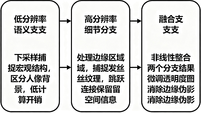 绘制MODNet三分支架构网络结构图，包含三个分支：第一个分支是低分辨率语义分支，标注文字说明"下采样捕捉宏观结构，区分人像背景，低计算开销"；第二个分支是高分辨率细节分支，标注文字说明"处理边缘区域，捕捉发丝纹理，跳跃连接保留空间信息"；第三个分支是融合分支，标注文字说明"非线性整合两个分支结果，微调透明度图，消除边缘伪影"。用箭头标注数据流向，整体为学术论文用的清晰线框图，层级分明，模块标注清楚