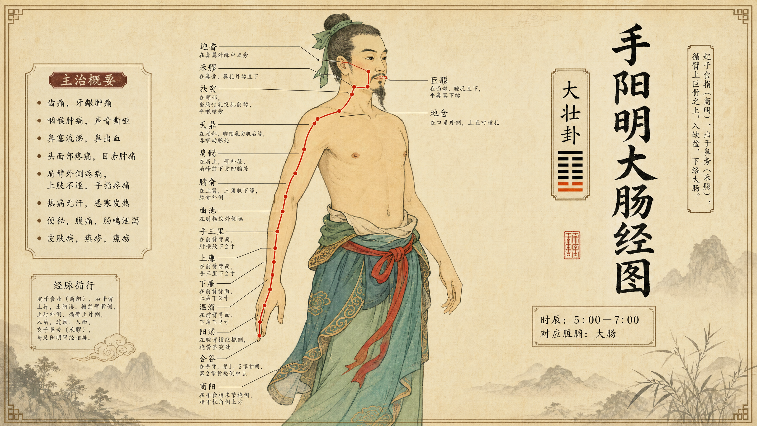 古风中医插画：手阳明大肠经图，男性人物站立姿态，经络线从食指经… - 图片创意预览