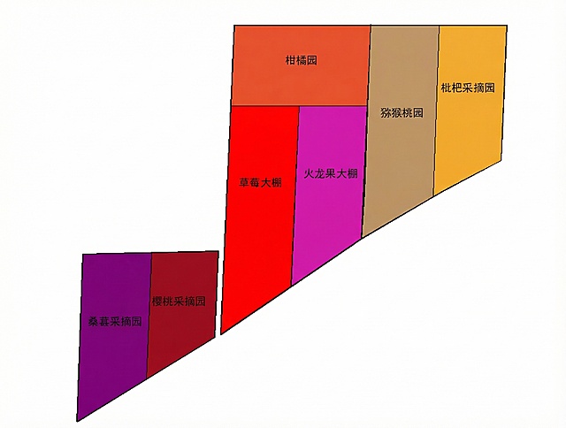 请按提供的参考图片种植区域范围，（种植的水果包括草莓（草莓大棚种植）、火龙果（火龙果大棚种植）、桑葚、枇杷、猕猴桃、樱桃、柑橘）生成一张平面填充颜色的效果图，要求按参考图各种植区域的轮廓，按名称分别填充不同的水果代表的颜色
