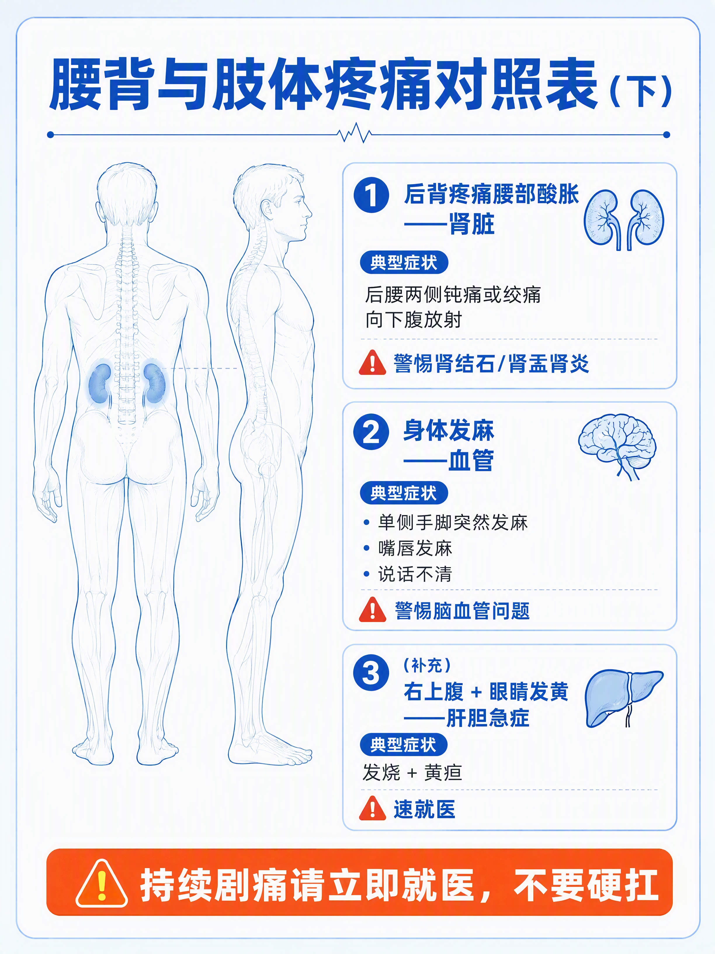 小红书笔记内页图，竖版3:4，蓝白医疗科普插画风格。顶部大标题… - 图片创意预览