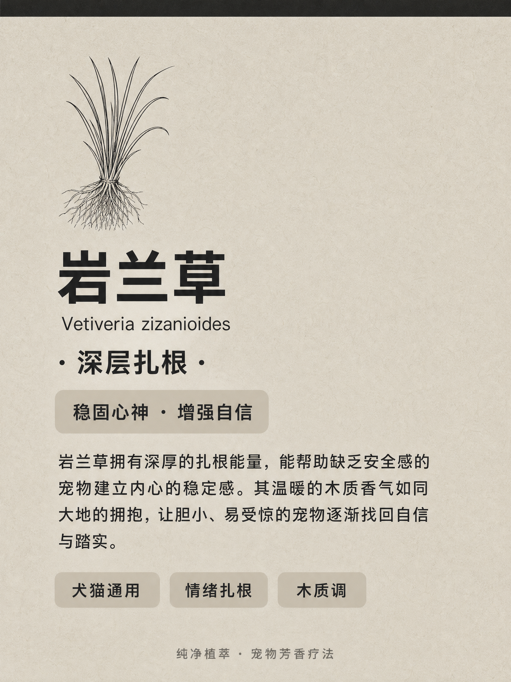 A6竖版产品卡片设计，比例2:3，背景色为#CAC1B2（暖灰… - 图片创意预览