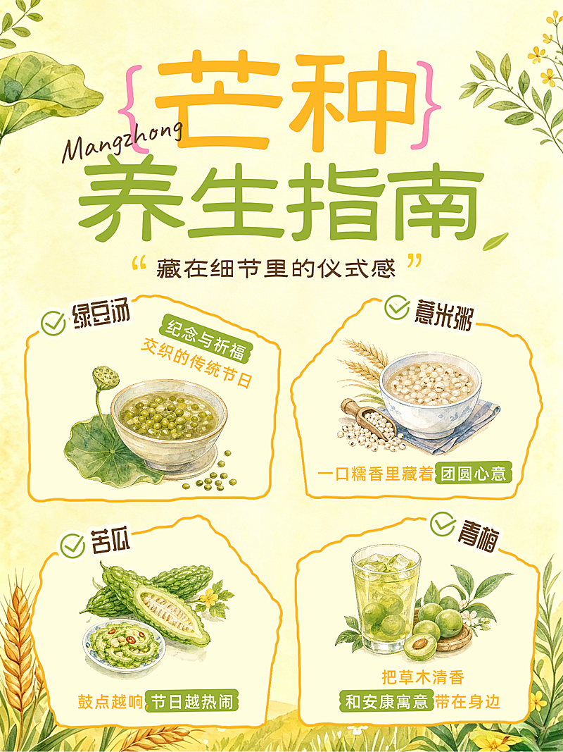 芒种节气养生指南科普分享水彩小红书配图