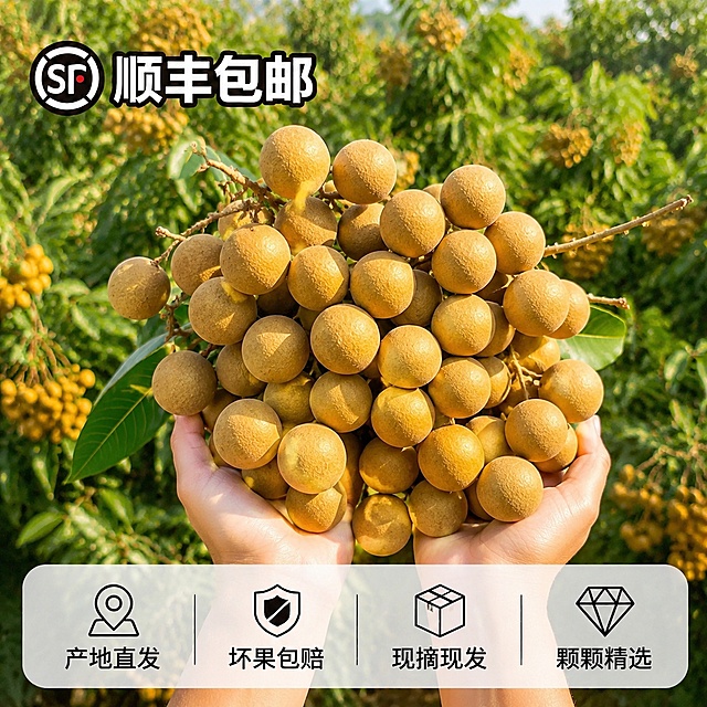 「图片1」，生成一套主图（5张），商品名称是储良龙眼，卖点是现摘现发，肉厚核小。适配拼多多平台，主图比例为1:1「图片1」「图片1」「图片1」「图片1」「图片1」需要标明是储良龙眼，顺丰包邮