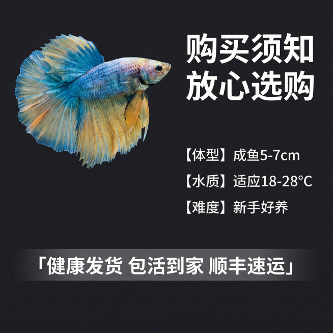 [主图 5] 产品规格与服务承诺
[氛围风格] 专业严谨，清晰可信，干净简洁
[画面元素] 梵高莫奈斗鱼位于画面左上位置，保留原外观色彩，干净深色背景，右下区域展示规格与服务信息，整体平衡舒适。
[配预览效果