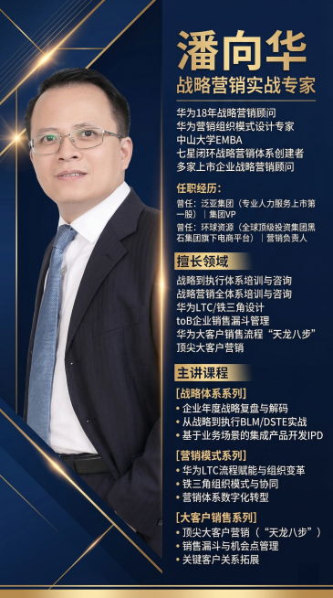 高端商务风战略营销实战专家讲师推广海报，左侧放置提供的男士正装肖像照，右侧清晰排版文字内容：顶部为姓名“潘向华”及头衔“战略营销实战专家”，依次排列“华为18年战略营销顾问”“华为营销组织模式设计专家预览效果
