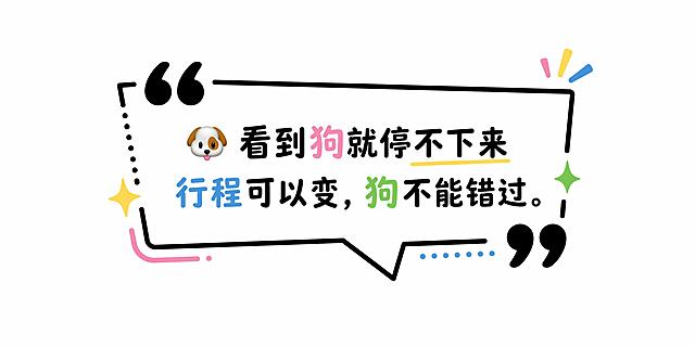 参考图中的简约黑色线条文字框风格，生成1个尺寸比例为2:1（对应6cm*3cm）的黑色线条文字框，保留参考图的简约黑色线条和引用符号装饰，保留emoji元素，整体为多彩配色，放入文案：🐶 看到狗就停不下来 行程可以变，狗不能错过。文字框完整包含所有文字，文字清晰可识别，四周留白，纯白色背景