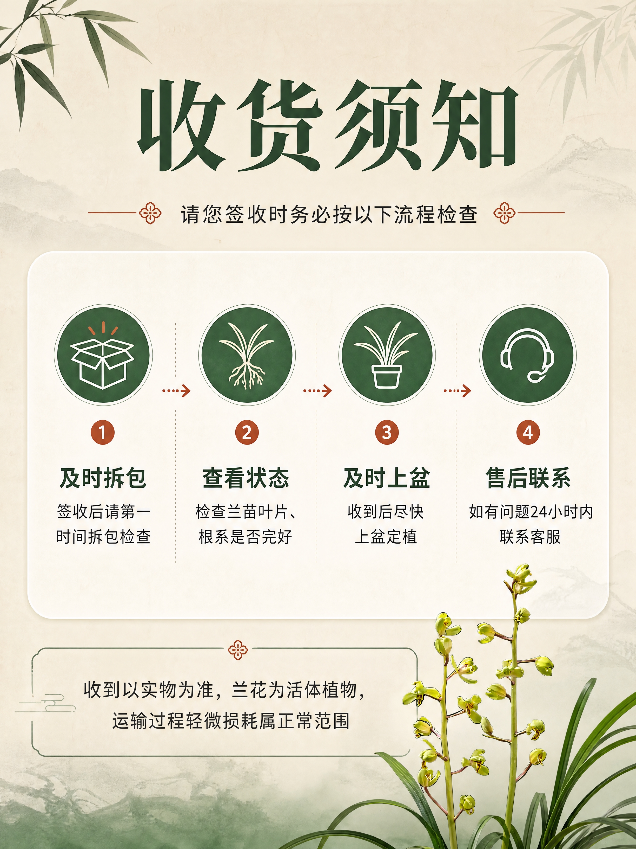 [商品] 使用【图2】兰苗实物图小图作为示意；保留兰苗真实形态… - 图片创意预览