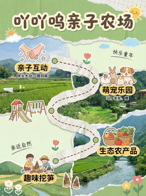 预览效果